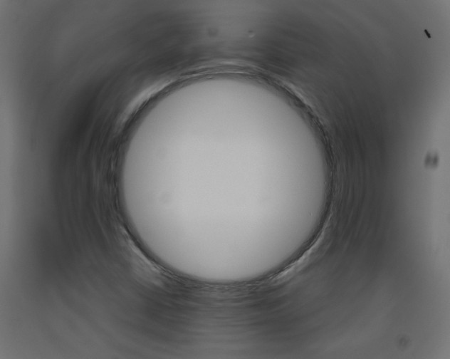 X0000093531402200710121139