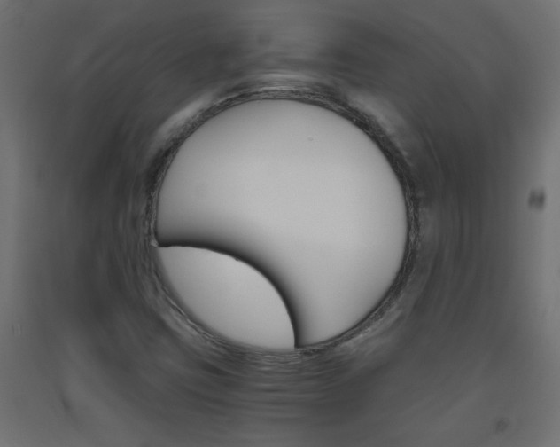 X0000093531403200710121139