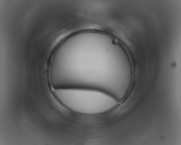 X0000093531404200710121139