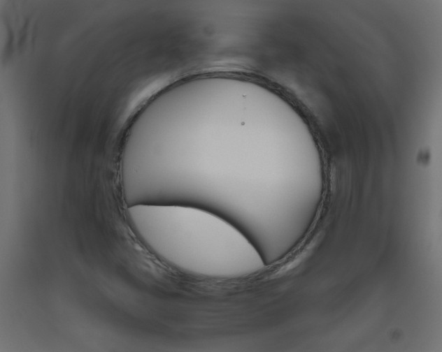 X0000093531405200710121139