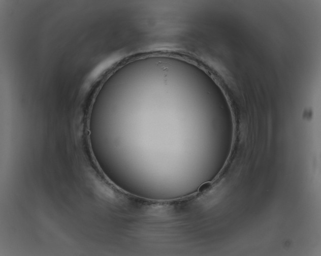 X0000093531406200710121139