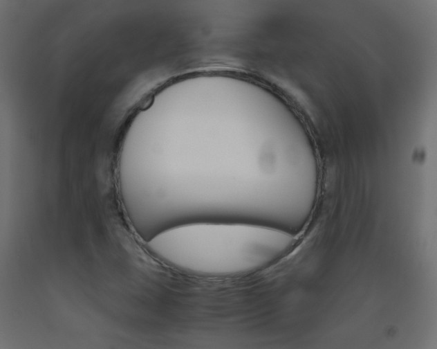 X0000093531407200710121139