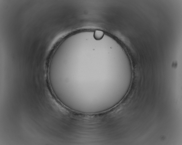 X0000093531408200710121139
