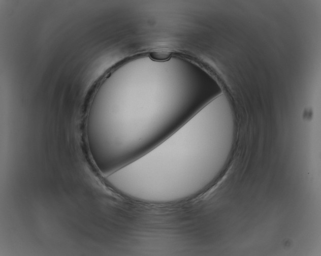 X0000093531410200710121139