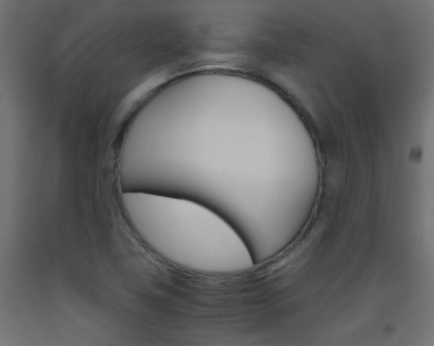 X0000093531411200710121139