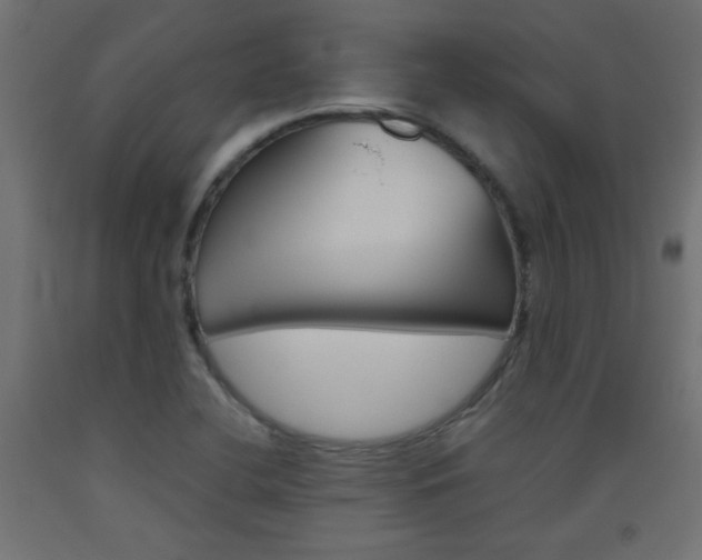 X0000093531412200710121139
