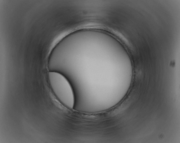 X0000093531413200710121139
