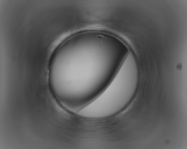 X0000093531414200710121139
