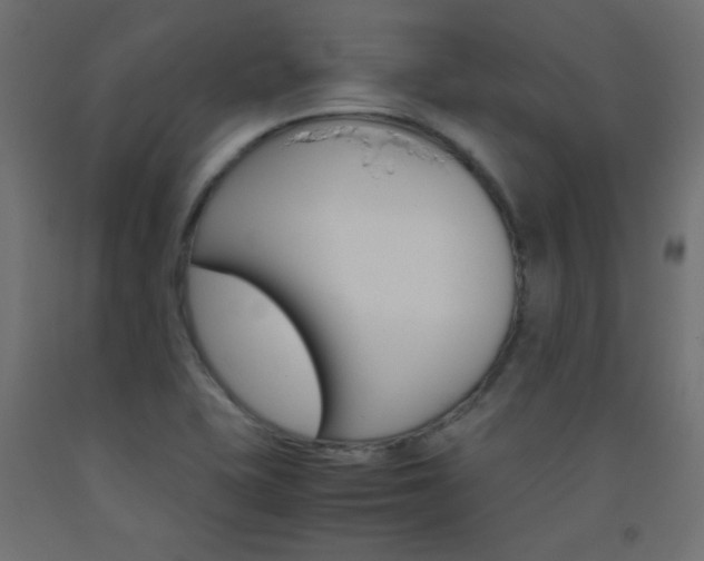 X0000093531415200710121139