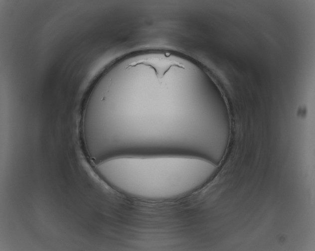 X0000093531416200710121139