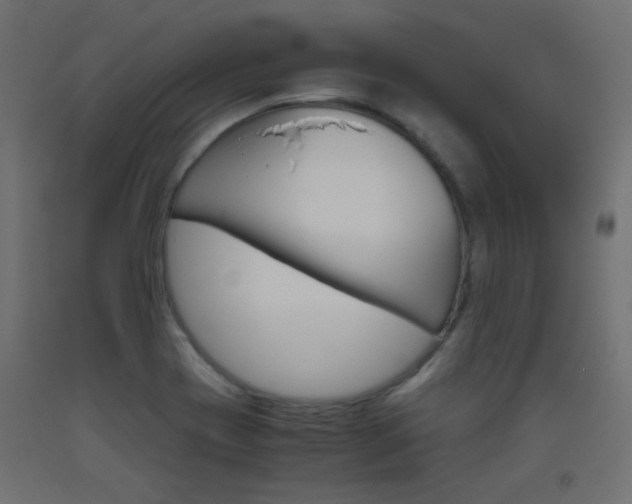 X0000093531417200710121139