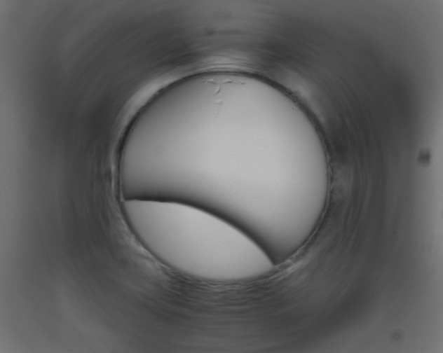 X0000093531419200710121139
