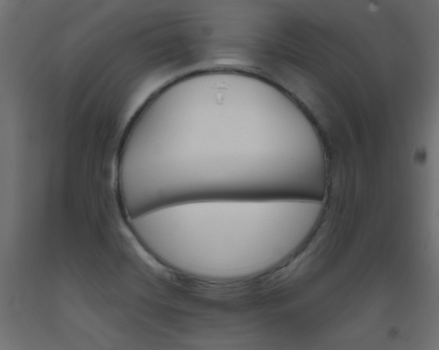 X0000093531420200710121140