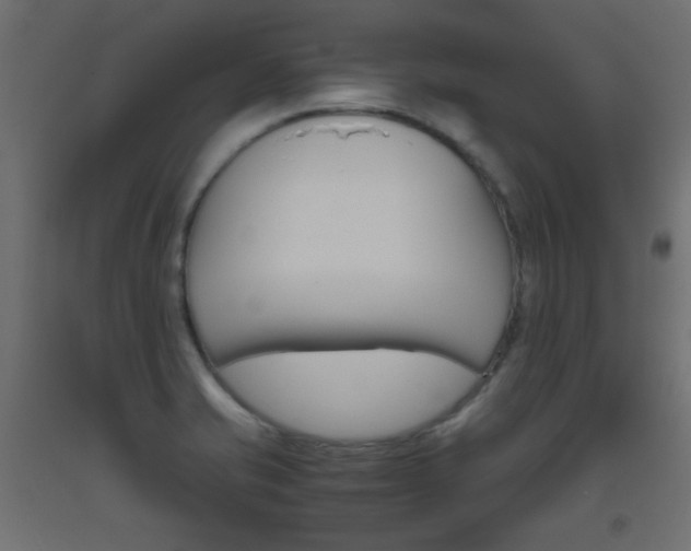 X0000093531421200710121140