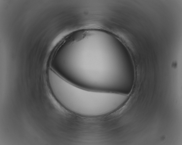 X0000093531422200710121140