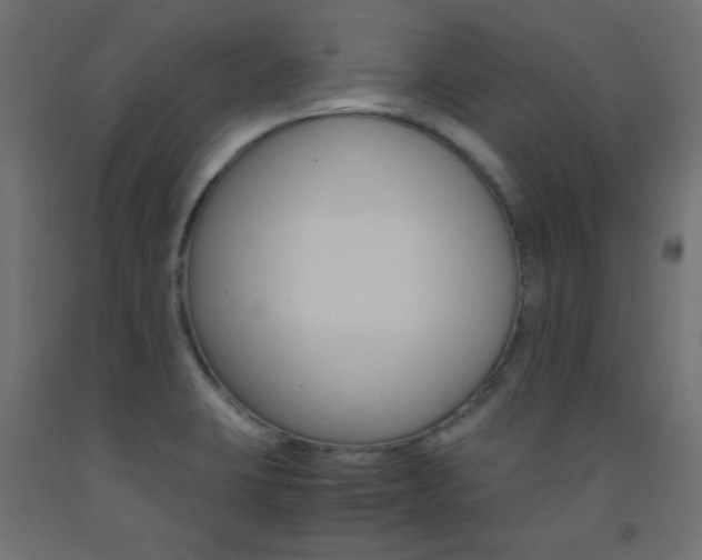 X0000093531423200710121140