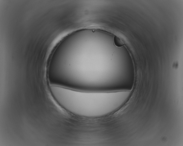 X0000093531424200710121140