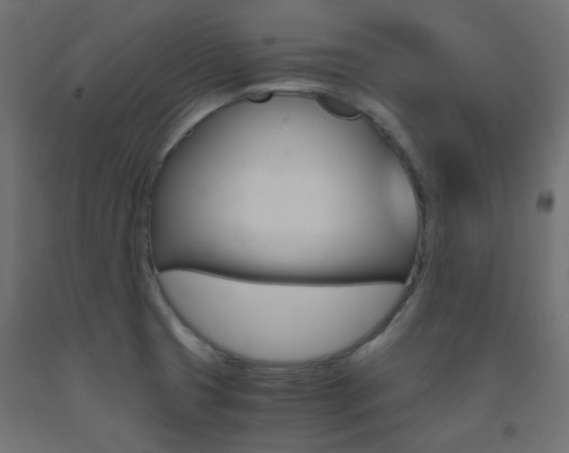 X0000093531425200710121140