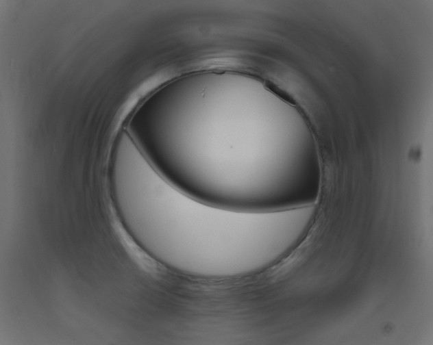 X0000093531426200710121140