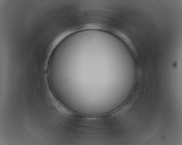 X0000093531427200710121140