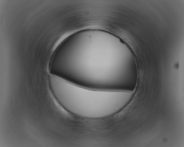 X0000093531428200710121140