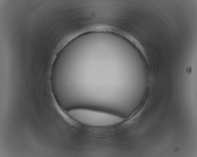 X0000093531429200710121140