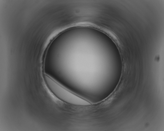 X0000093531430200710121140
