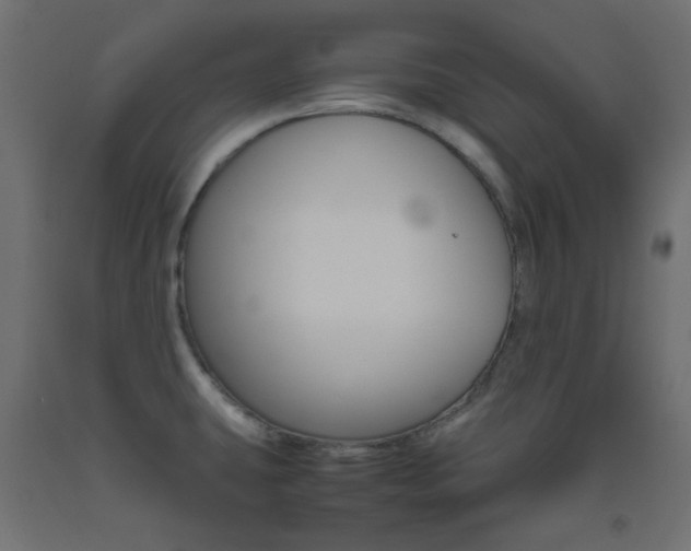 X0000093531431200710121140