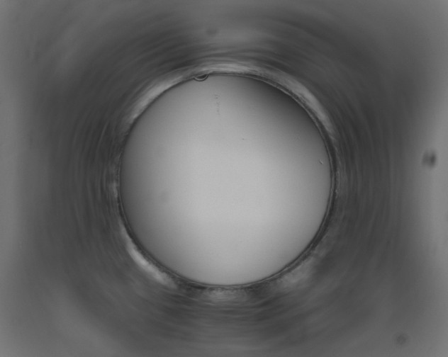 X0000093531433200710121140