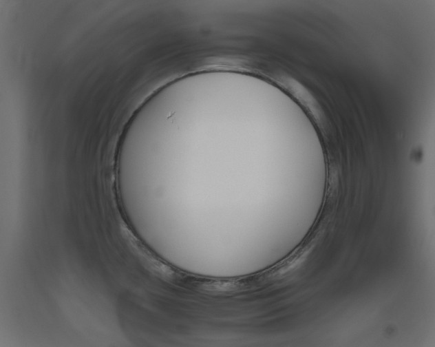 X0000093531435200710121140
