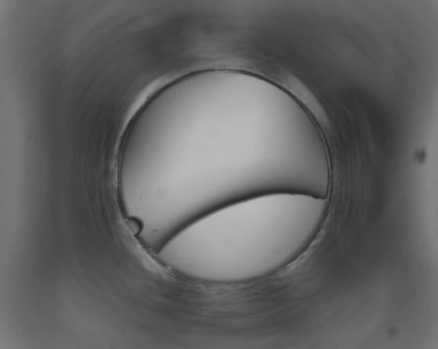 X0000093531436200710121140