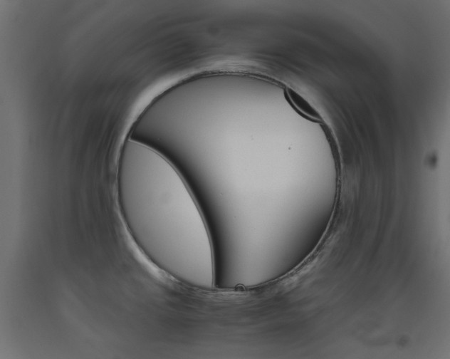X0000093531437200710121140