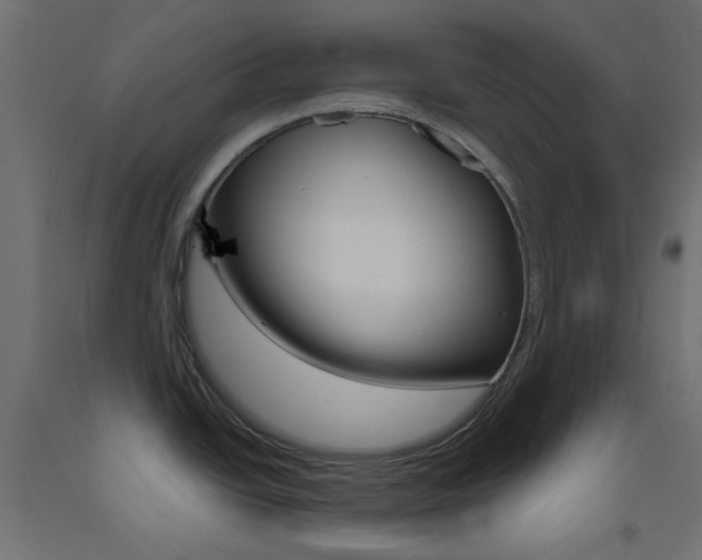 X0000093531438200710121140