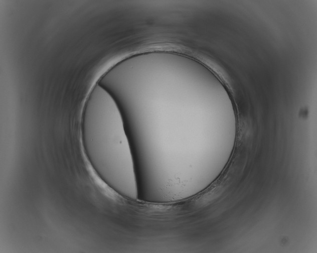 X0000093531439200710121140