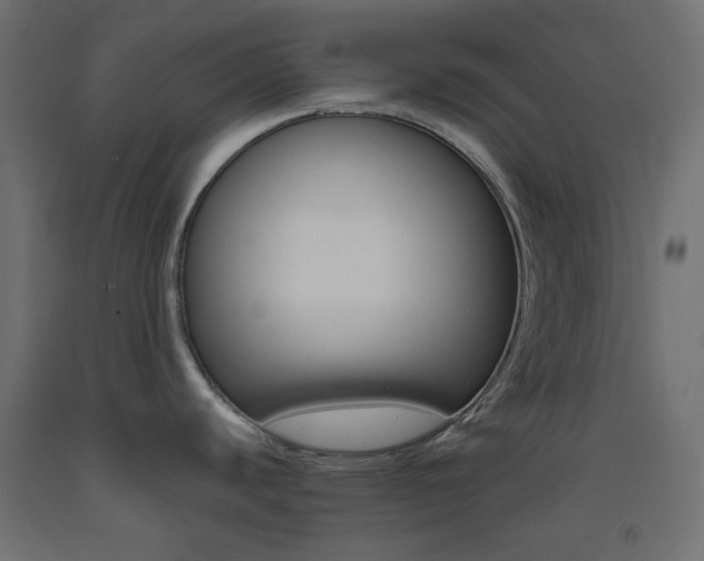 X0000093531440200710121140