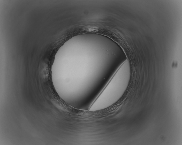 X0000093531442200710121139