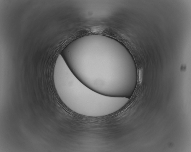 X0000093531443200710121139