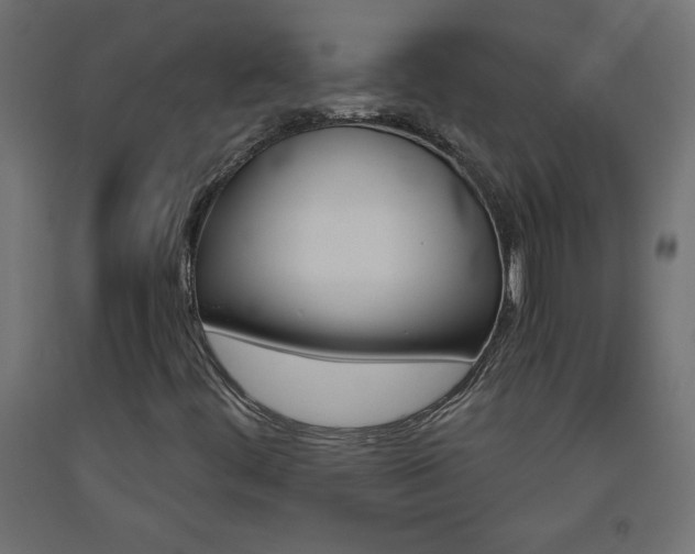 X0000093531444200710121139