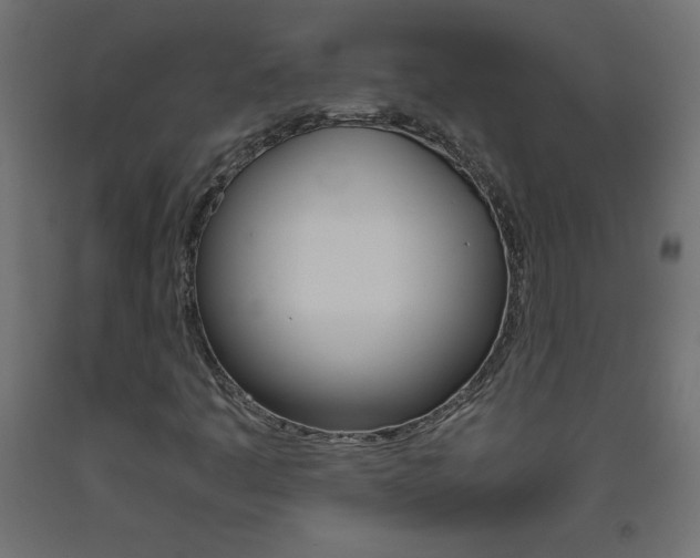 X0000093531445200710121139