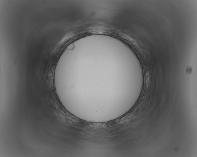 X0000093531446200710121139