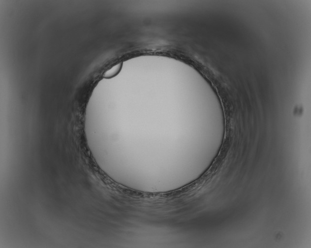 X0000093531447200710121139