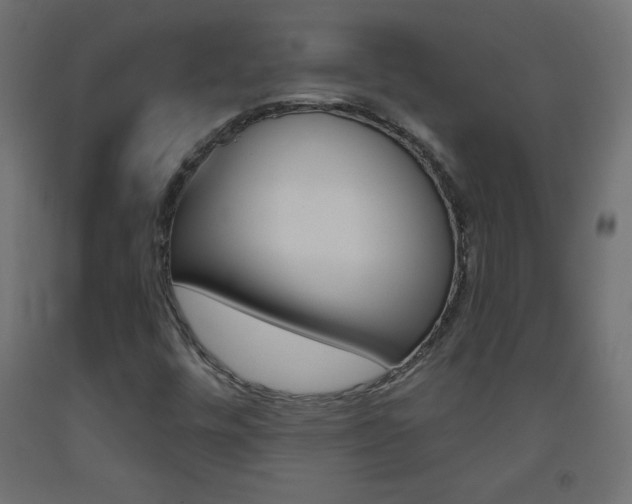 X0000093531448200710121139