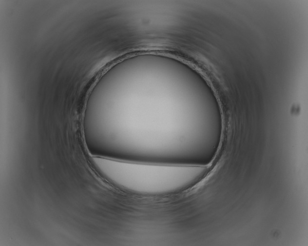 X0000093531449200710121139