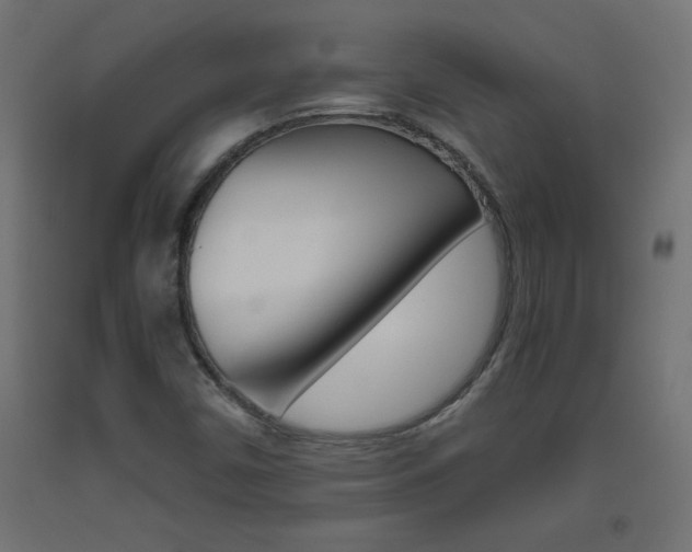 X0000093531450200710121139