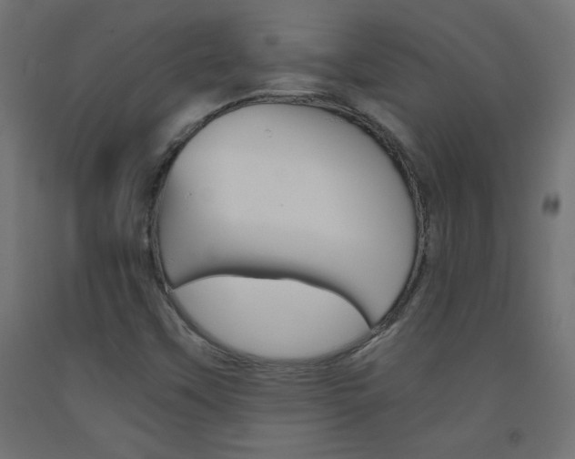 X0000093531451200710121139