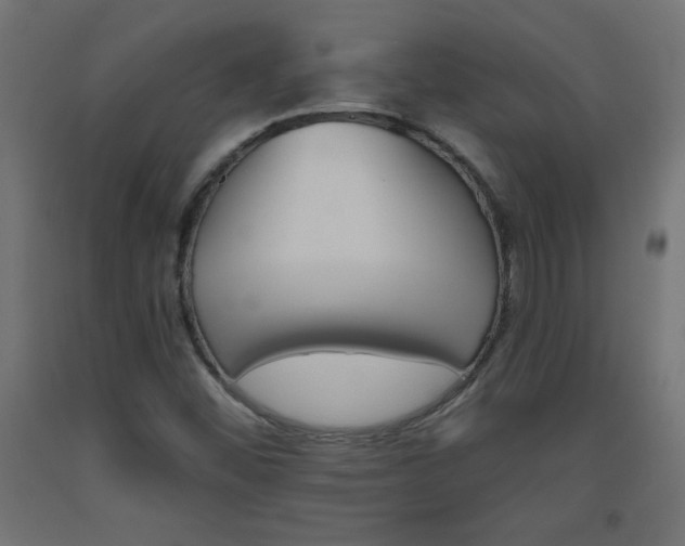 X0000093531452200710121139