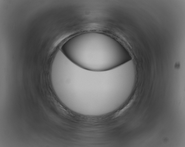 X0000093531453200710121139
