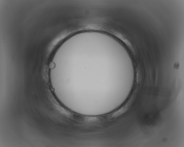X0000093531454200710121139