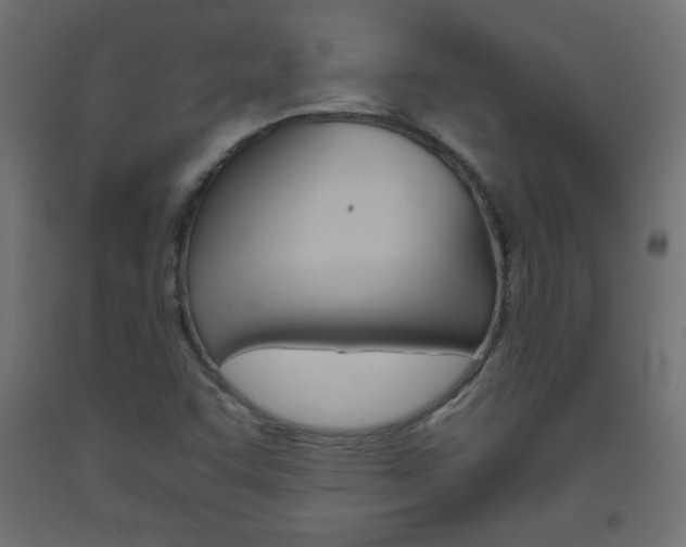 X0000093531455200710121139