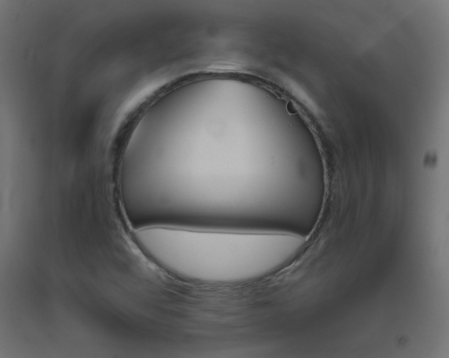 X0000093531456200710121139